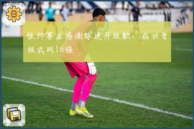 张帅赛后感谢球迷并致歉，成功晋级武网16强
