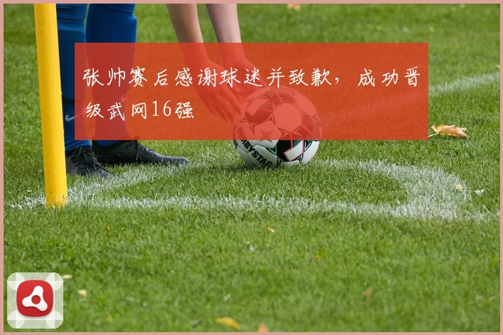 张帅赛后感谢球迷并致歉，成功晋级武网16强