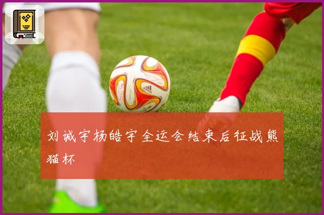 刘诚宇杨皓宇全运会结束后征战熊猫杯