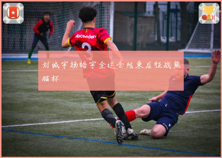 刘诚宇杨皓宇全运会结束后征战熊猫杯